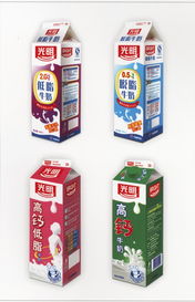 中國(guó)設(shè)計(jì)機(jī)構(gòu)年鑒·設(shè)計(jì)師作品解析 食品包裝用紙盒的創(chuàng)新與美學(xué)